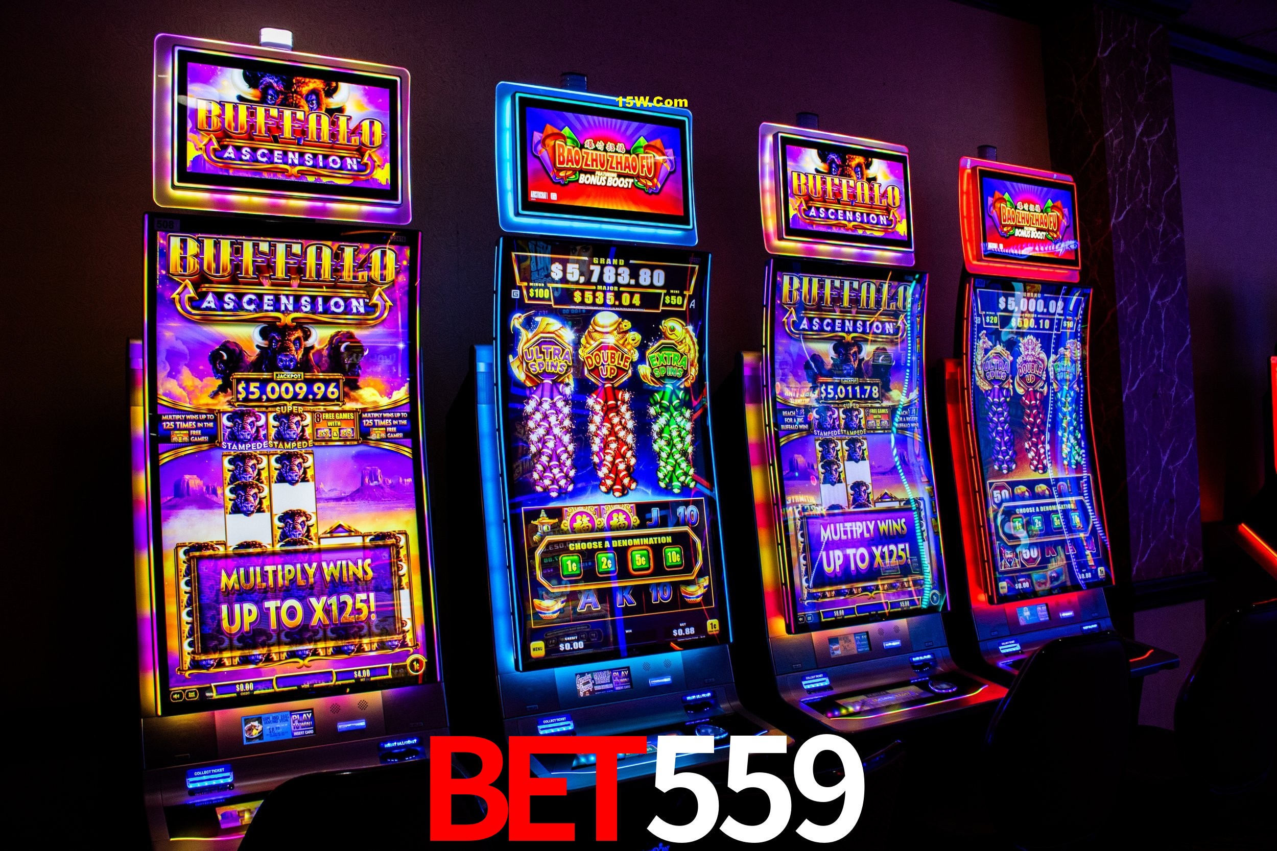Casino Ao Vivo bet559